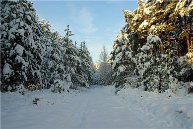 饭野贤治诞辰55周年纪念活动 真3D游戏开山制作人